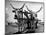 White Long-Horned Steers Teamed Up Like Oxen to Pull a Hay Wagon on the Anyala Farm-Margaret Bourke-White-Mounted Photographic Print