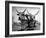 White Long-Horned Steers Teamed Up Like Oxen to Pull a Hay Wagon on the Anyala Farm-Margaret Bourke-White-Framed Photographic Print