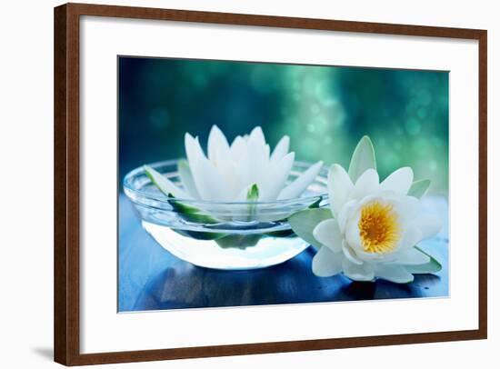 White Lotus Flower-Olga Miltsova-Framed Photographic Print