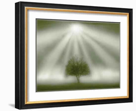 White Magic-Adrian Campfield-Framed Giclee Print