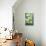 White Magnolia branch-Avril Anouilh-Mounted Art Print displayed on a wall