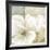 White Magnolia II-Linda Wood-Framed Art Print