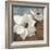 White Magnolias I-Lanie Loreth-Framed Premium Giclee Print
