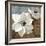 White Magnolias I-Lanie Loreth-Framed Premium Giclee Print