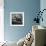 White Mare-Brenda Petrella Photography LLC-Framed Giclee Print displayed on a wall