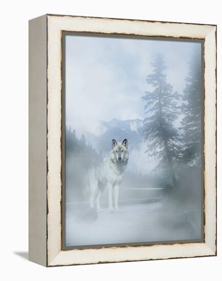 White Mist 2-Gordon Semmens-Framed Premier Image Canvas