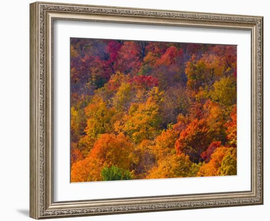 White Mountain National Park, New Hampshire, USA-Alan Copson-Framed Photographic Print