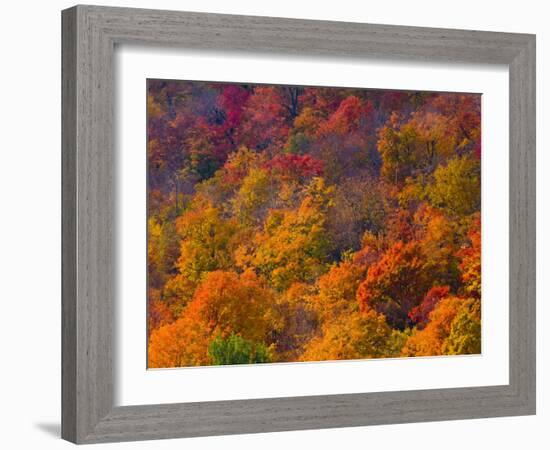 White Mountain National Park, New Hampshire, USA-Alan Copson-Framed Photographic Print