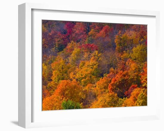 White Mountain National Park, New Hampshire, USA-Alan Copson-Framed Photographic Print