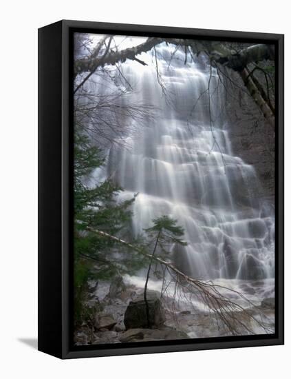 White Mountain Waterfalls-Jim Cole-Framed Premier Image Canvas