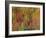 White Mountains Natioinal Forest in Fall, Near North Conway, New Hampshire, USA-Fraser Hall-Framed Photographic Print