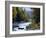 White Mountains National Forest, Near Jackson, New Hampshire, USA-Fraser Hall-Framed Photographic Print