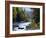 White Mountains National Forest, Near Jackson, New Hampshire, USA-Fraser Hall-Framed Photographic Print