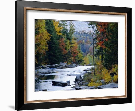 White Mountains National Forest, Near Jackson, New Hampshire, USA-Fraser Hall-Framed Photographic Print