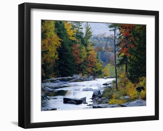 White Mountains National Forest, Near Jackson, New Hampshire, USA-Fraser Hall-Framed Photographic Print