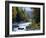 White Mountains National Forest, Near Jackson, New Hampshire, USA-Fraser Hall-Framed Photographic Print