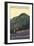 White Mountains, New Hampshire - Live Free and Climb Hiker Scene-Lantern Press-Framed Premium Giclee Print