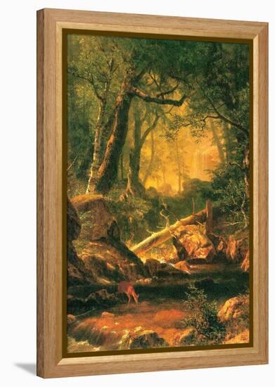 White Mountains, New Hampshire-Albert Bierstadt-Framed Stretched Canvas