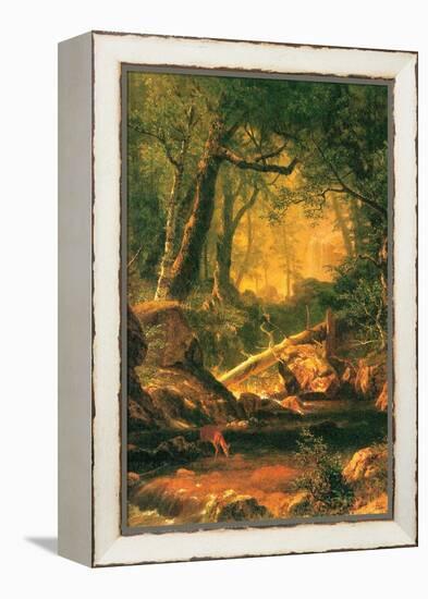 White Mountains, New Hampshire-Albert Bierstadt-Framed Stretched Canvas