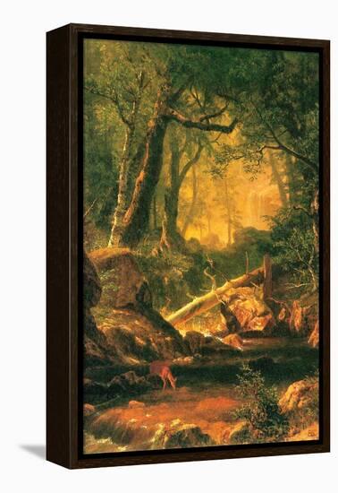 White Mountains, New Hampshire-Albert Bierstadt-Framed Stretched Canvas