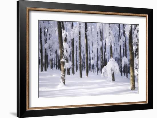 White Muslin-Philippe Sainte-Laudy-Framed Photographic Print