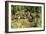 White-Nosed Coatimundi Group-null-Framed Photographic Print