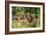 White-Nosed Coatimundi Group-null-Framed Photographic Print