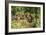 White-Nosed Coatimundi Group-null-Framed Photographic Print