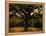 White Oak Tree, Great Smoky Mountains National Park, Cades Cove, Tennessee, USA-Adam Jones-Framed Premier Image Canvas