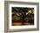 White Oak Tree, Great Smoky Mountains National Park, Cades Cove, Tennessee, USA-Adam Jones-Framed Photographic Print