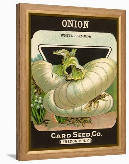 White Onion Seed Packet-null-Framed Premier Image Canvas