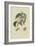 White or Flander's Nectarine-William Hooker-Framed Art Print