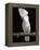 White or Umbrella Cockatoo-Lynn M^ Stone-Framed Premier Image Canvas