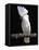 White or Umbrella Cockatoo-Lynn M^ Stone-Framed Premier Image Canvas