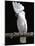 White or Umbrella Cockatoo-Lynn M^ Stone-Mounted Photographic Print