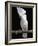 White or Umbrella Cockatoo-Lynn M^ Stone-Framed Photographic Print