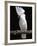 White or Umbrella Cockatoo-Lynn M^ Stone-Framed Photographic Print