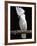 White or Umbrella Cockatoo-Lynn M^ Stone-Framed Photographic Print