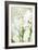 White Orchid I-Karyn Millet-Framed Photographic Print