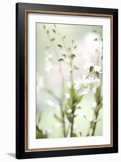 White Orchid I-Karyn Millet-Framed Photographic Print