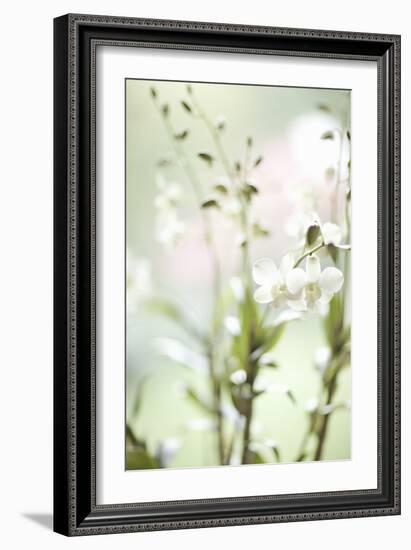 White Orchid I-Karyn Millet-Framed Photographic Print