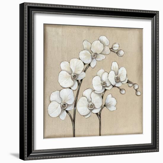 White Orchid II-Tim O'toole-Framed Art Print