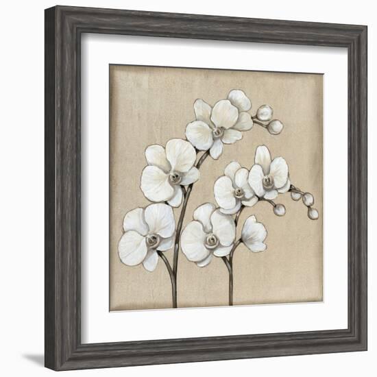 White Orchid II-Tim O'toole-Framed Art Print