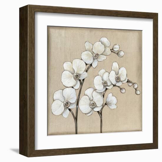 White Orchid II-Tim O'toole-Framed Art Print