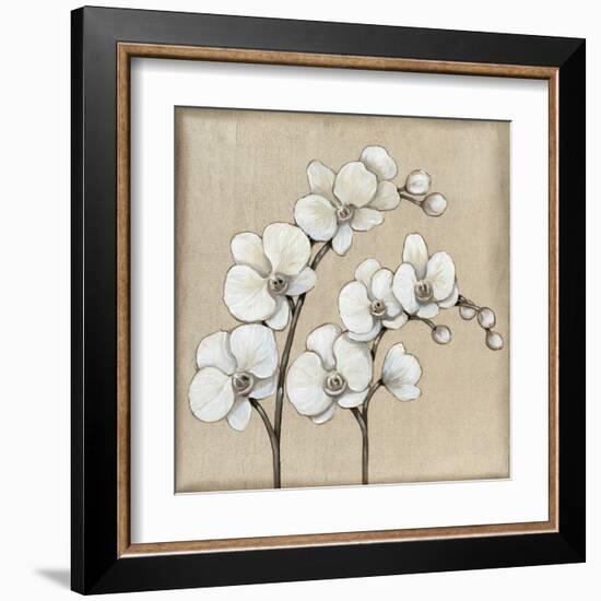 White Orchid II-Tim O'toole-Framed Art Print