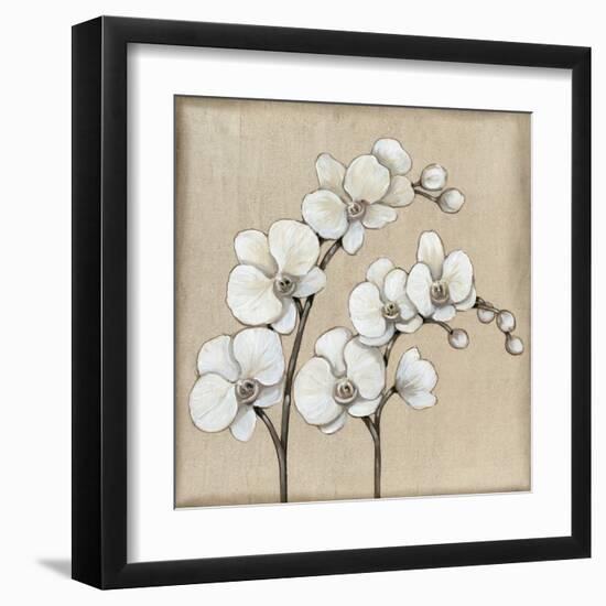 White Orchid II-Tim O'toole-Framed Art Print