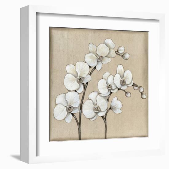 White Orchid II-Tim O'toole-Framed Art Print
