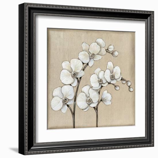 White Orchid II-Tim O'toole-Framed Art Print