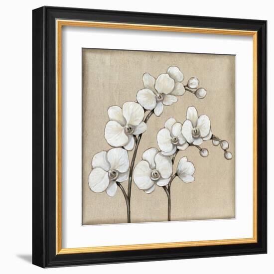 White Orchid II-Tim O'toole-Framed Art Print