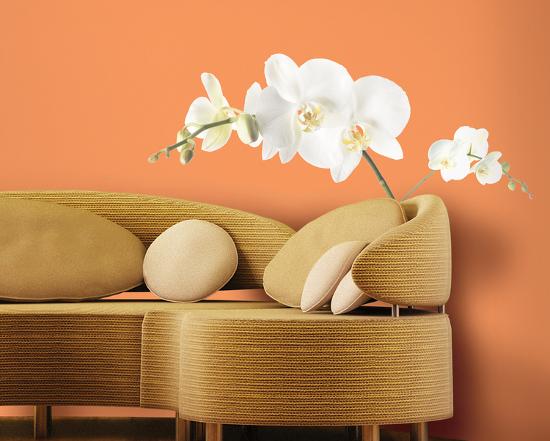 White Orchid L Stick Wall Decals Decal By Art